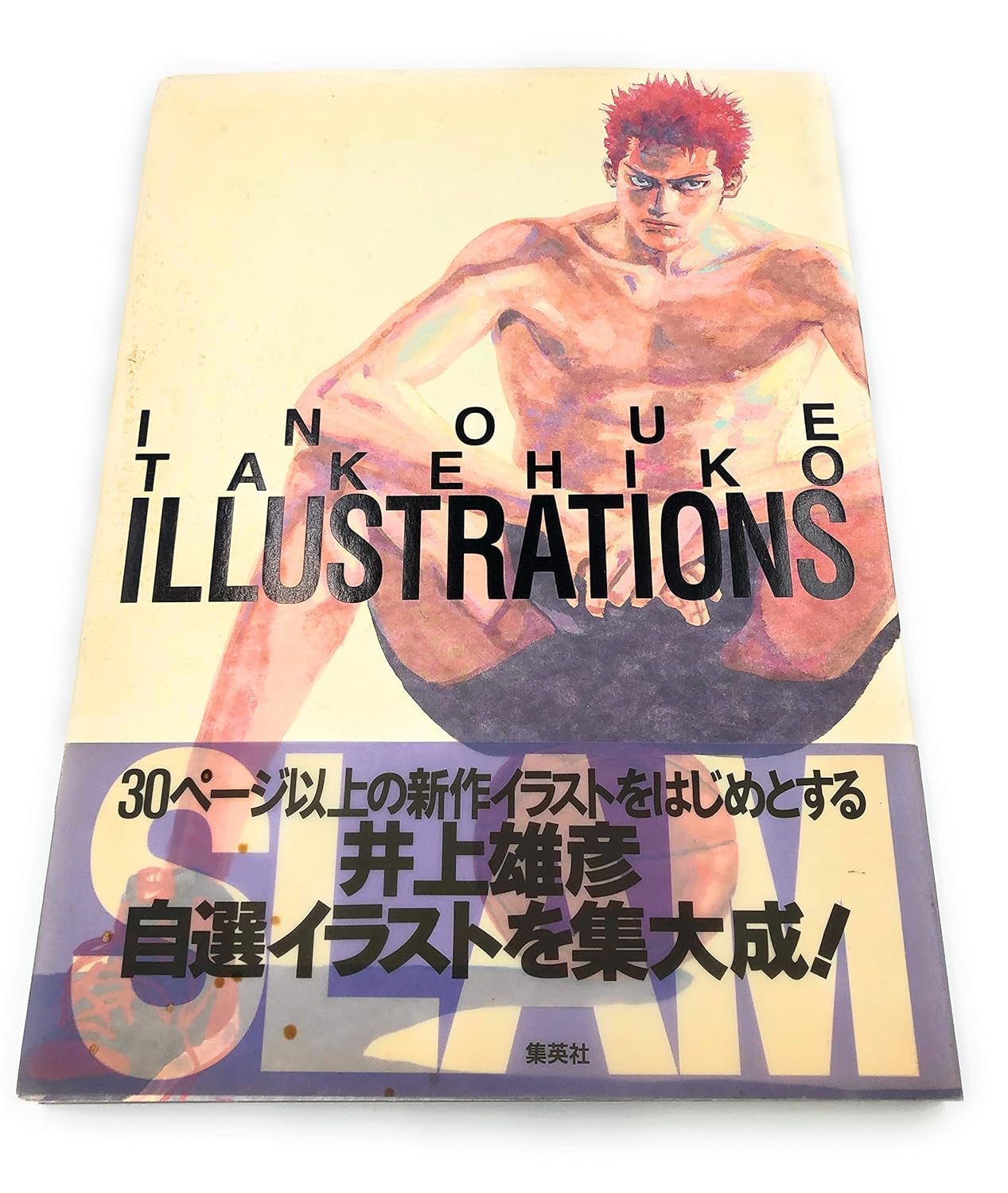 Inoue Takehiko Illustrations Slam Dunk Artbook Jap - Manga Dreams