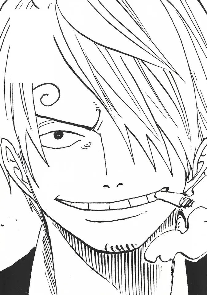One Piece All Faces 2 Japanese Collector's Artbook - Manga Dreams